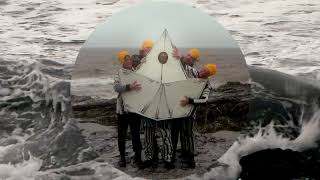 Cosmo Sheldrake  Old Ocean Official video [upl. by Dnalevelc798]