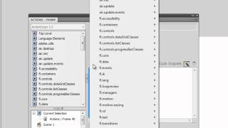 Flashs Actions and Code Snippets Panels [upl. by Eiggep]