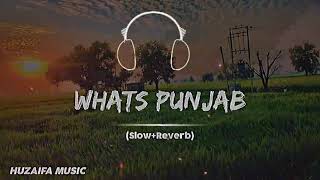 official video 👙 pakka sardar ❤️🫴 Sade pind I tenu Punjab dikha mange song 2024 [upl. by Barbabra]