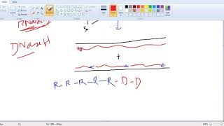 DNA REPLICATIONPrimase and RNase H [upl. by Haim823]