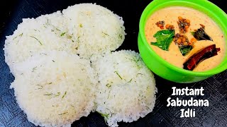 sabudana idli  sabakki idli  saggubiyyam idli sago rava idli  sago idli  sabudana [upl. by Gaillard101]