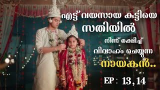 Barrister babu  Episode 1314  Malayalam Explanation [upl. by Llevart747]