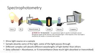 Types of Spectroscopy [upl. by Ynagoham571]