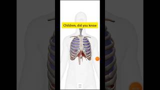 Skeletal system class 9 ICSEviralyttrendingshortsbiology [upl. by Eiramanna]