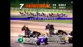 2002 Blue Bonnets RED RIVER HANOVER Prix De Montreal RANDY WAPLES [upl. by Weinrich156]