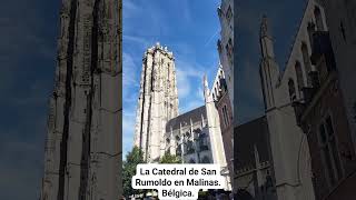 LA CATEDRAL DE SAN RUMOLDO EN MALINAS Bélgica [upl. by Nigrom]