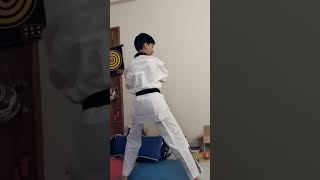 Poomsae application Taegeuk application [upl. by Analaf]