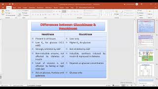 Differences between Glucokinase amp Hexokinase [upl. by Llenrod]