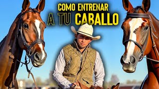 Como ENTRENAR a tu CABALLO  Esto es TODO lo que requieres para domar un caballo… [upl. by Adlen191]