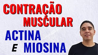 Actina e Miosina na Contração Muscular Músculo Esquelético 34 [upl. by Aimehs]