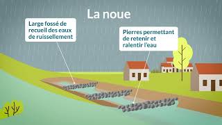 Comment fonctionnent les aménagements de maîtrise du ruissellement [upl. by Atineb740]