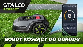 ROBOT KOSZĄCY DO TWOJEGO OGRODU  STALCO PERFECT [upl. by Cerell]