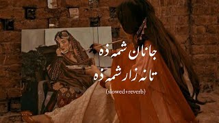 Janana Zama Tana Zar in Urdu Translation [upl. by Anaher444]