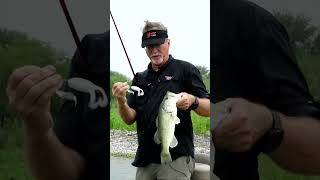 Fishing the Spro Squealer Toad on Choke Canyon shorts [upl. by Oulman600]