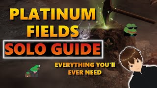 LOST ARK PLATINUM FIELDS SOLO GUIDE [upl. by Nosned]