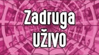 Zadruga Uživo Live 247 HOT Sloba i Kija [upl. by Eisned42]