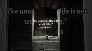 An unexamined life isn’t really living Do you take time to reflect Share your thoughts Wisdom [upl. by Aileen]