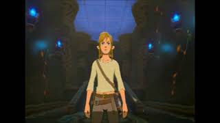 Links Awakening  The Legend of Zelda Breath of the Wild  Episode 1  First Playthrough [upl. by Nwahsek850]