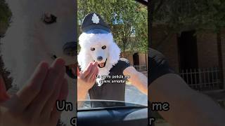 Un PERRO policía me quiere arrestar perro viral [upl. by Surat]