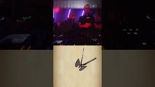 Armin Van Buuren and Indira Paganoto playing Butterfly 🦋 at ADE 🔥 vegaslive [upl. by Ydnil]