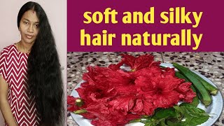 soft and silky hair naturally at home remediesdry and frizzy hair treatment at home [upl. by Yahsal]