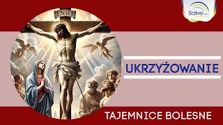 Różaniec Piąta tajemnica bolesna  UKRZYŻOWANIE [upl. by Lindo725]