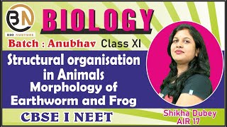 STRUCTURAL ORGANISATION IN ANIMALSMORPHOLOGY OF EARTHWORM AND FROG CLASSXI BIOLOGY NEET 2025 [upl. by Bollinger191]