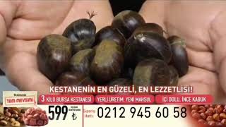 Kanal Antalya  3 Kilo Bursa Kestanesi Reklamı Logosuz [upl. by Attelahs309]