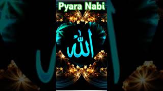 Mera Nabi pyara Nabi [upl. by Anneirb202]