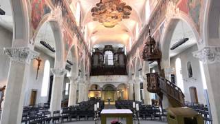 Konstanz  Dreifaltigkeitskirche [upl. by Barbabas571]