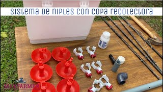 Sistema de bebederos automáticos tipo niple con copa recolectora [upl. by Aneehsal500]