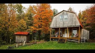 OffGrid Cabin  Hanging Crosscut saws painted the outhouse amp continuing squirrel battles 101313 [upl. by Saoj561]