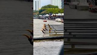 Regatta Sarawak 2024 di Kuching sarawak sarawaktravel borneo [upl. by Jessi]