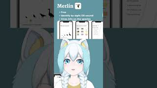 Merlin FREE bird identification app indievtuber birding [upl. by Kilk]