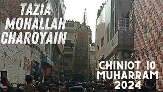 Chiniot 10 Muharram 2024 Tazia Zanjeer and Qama Zani Mohallah Charooyain Tazia No 7 [upl. by Nevag]