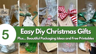 5 NEW Budgetfriendly Diy Christmas Gifts With Stunning Packaging [upl. by Annaerb260]