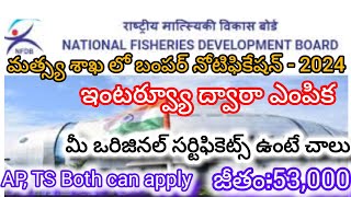 NFDB Recruitment Notification 2024  మత్స్య శాఖలో బంపర్ నోటిఫికేషన్ 2024 [upl. by Yrahca]