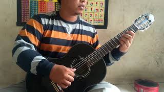 wali  yank fingerstyle cover [upl. by Baerman]