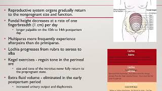 Post Partum [upl. by Gerrie]