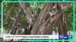 4 people hospitalized after lightning strike in downtown St Pete [upl. by Faubert556]