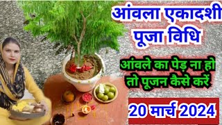 आंवला एकादशी पूजा विधि 2024  Amla ekadashi Puja vidhi 2024 [upl. by Gisella]