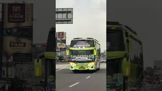 msm asyrof PINNOCIO 💚 asyrof bismania busmania trending trendingshorts vidiobusindonesia jb3 [upl. by Sillad]