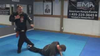 AKKI Kenpo Karate Randall McKay Paul Mills Kenpo Karate System [upl. by Rourke]