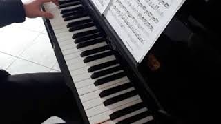 Beethoven 5th symphony piano 贝多芬5号交响曲钢琴 [upl. by Eanore]