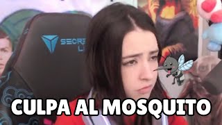 UN MOSQUITO  UNA DERROTA ADIÓS EDICIONES DEL MERCADONA  NISSAXTER [upl. by Jarv]