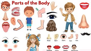 Parts of Body with Pictures  Learn parts of body for kids Body Parts [upl. by Mcintosh]