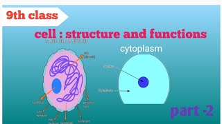 cell  structure and functions Nucleus cytoplasmBiology [upl. by Agace]