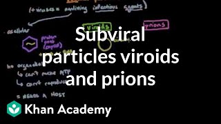 Subviral particles viroids and prions  Cells  MCAT  Khan Academy [upl. by Enniroc539]