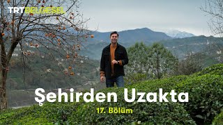 Şehirden Uzakta  RizeDağsu mahallesi  TRT Belgesel [upl. by Enyedy]