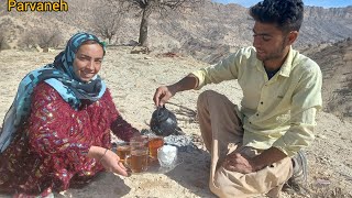 Traditional life searching for firewood in the heart of nature with the nomadic family of Parvaneh [upl. by Arza29]